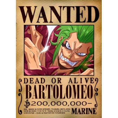 Placa Decorativa OnePiece Wanted Bartolomeu